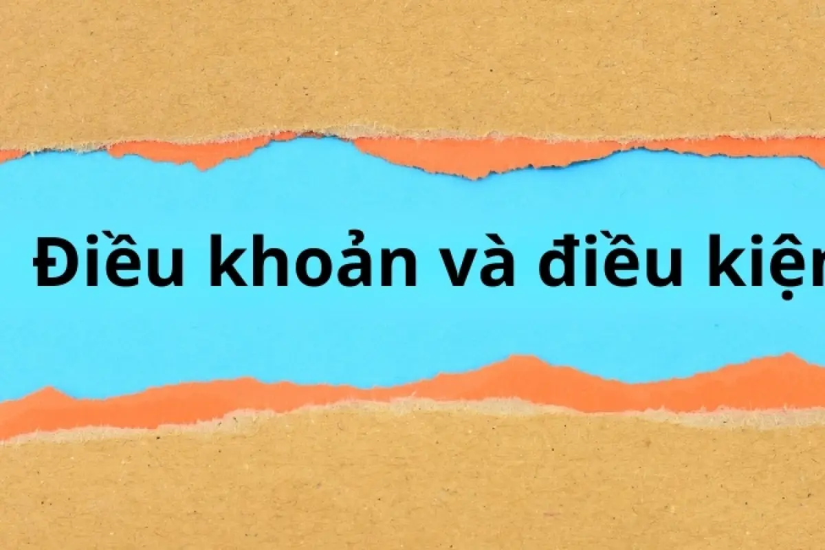Điều khoản và điều kiện
