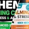 Comprehensive guide to natural calming treats for stressed dogs in 2026