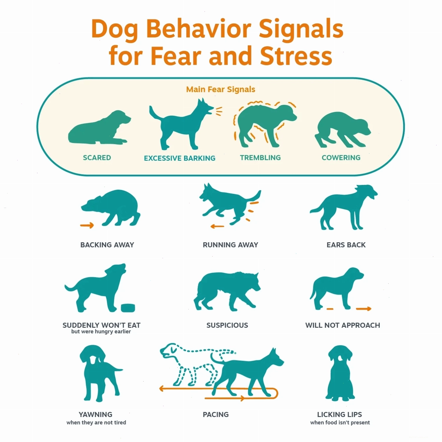 Chart demonstrating twelve fear and stress behaviors in dogs