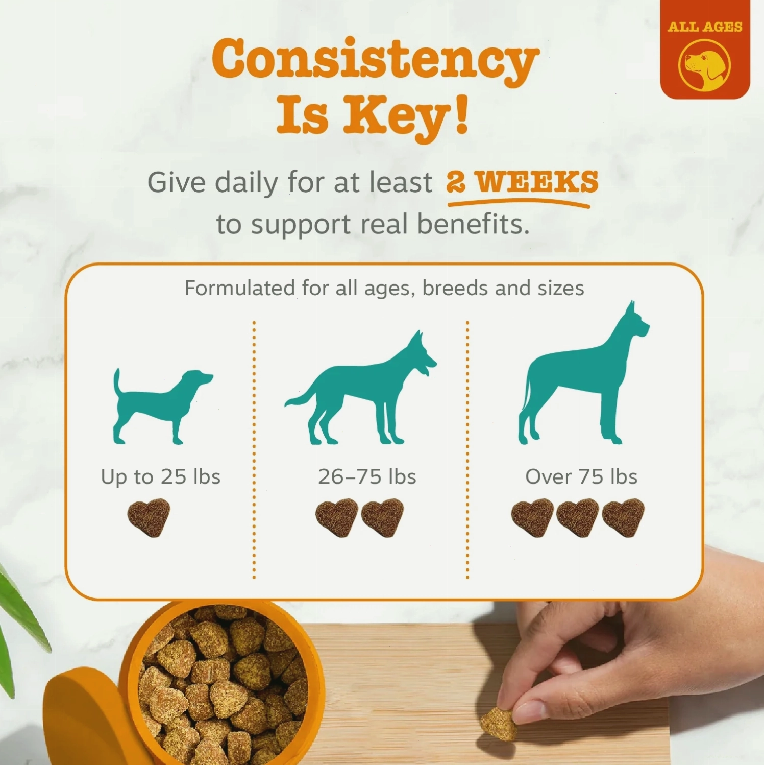 Dog treats in a bowl with a dosage guide for different sizes