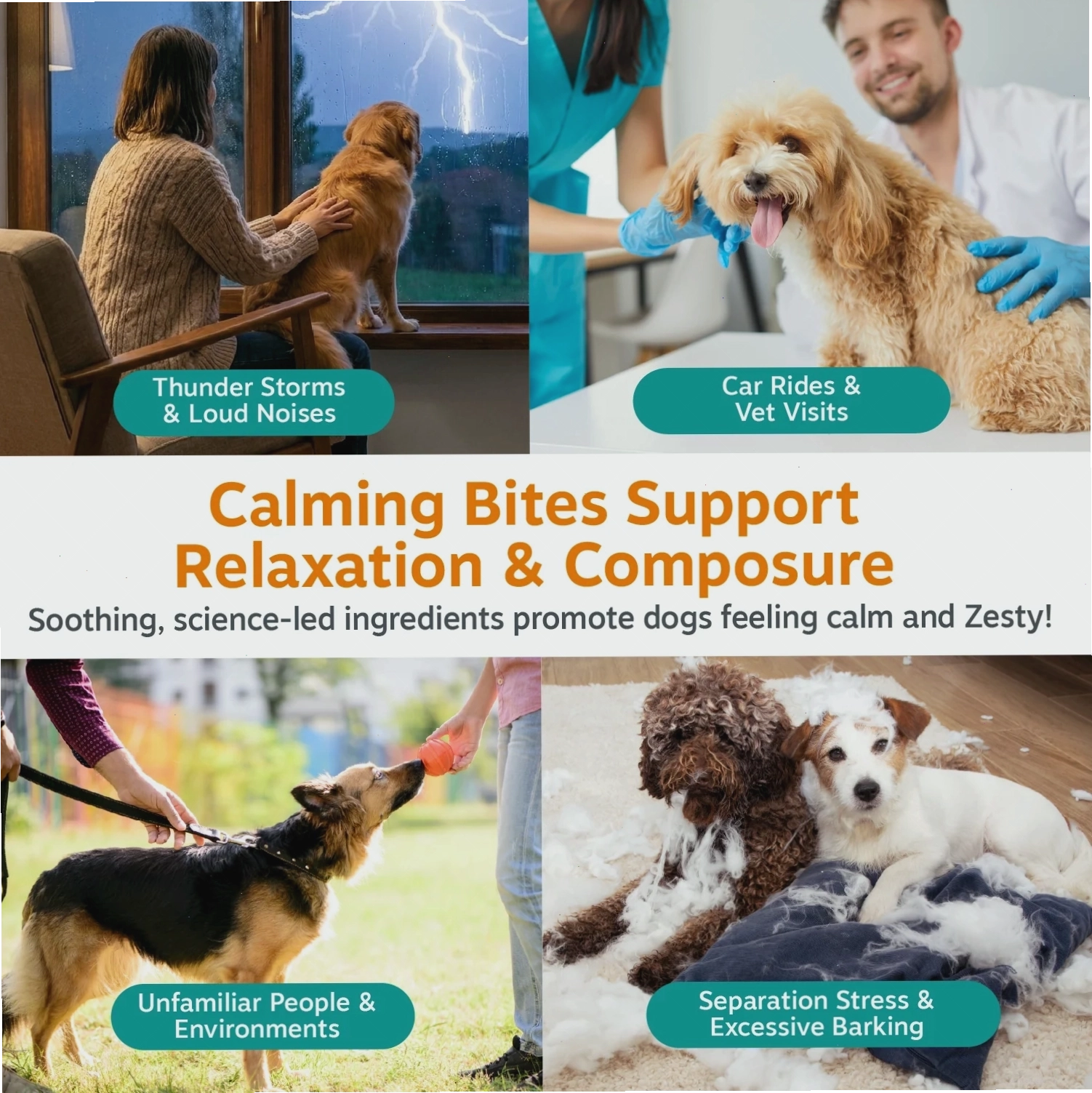 Dog treats shown with usage scenarios like vet visits and storms
