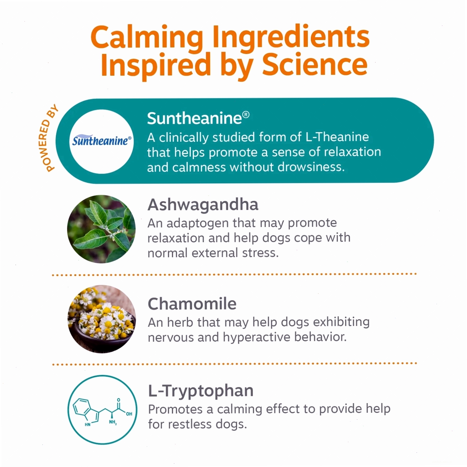 Infographic listing calming ingredients: Suntheanine, Ashwagandha, Chamomile